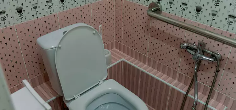 Meeting Diverse Needs With Accessible Restroom Solutions in Dearborn, MI